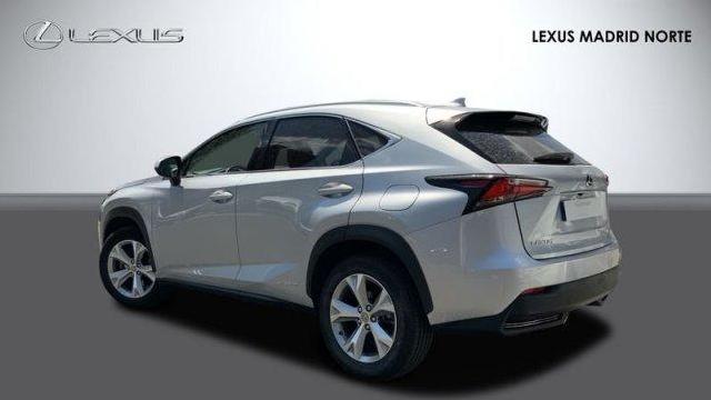 Imagen de Lexus Nx 300 H Nx 300h Luxury 4wd (2674434) - Lexus Madrid