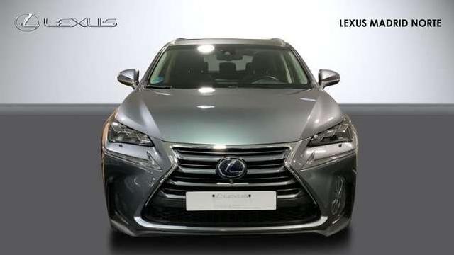 Imagen de Lexus Nx 300 H Nx 300h Luxury 4wd (2674452) - Lexus Madrid
