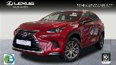Lexus Nx 300 300h Business Navigation 2wd