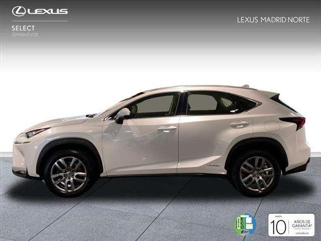 Imagen de Lexus Nx 300 300h Executive 4wd Tecno (3222169) - Lexus Madrid