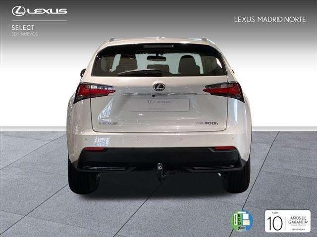 Imagen de Lexus Nx 300 300h Executive 4wd Tecno (3222170) - Lexus Madrid