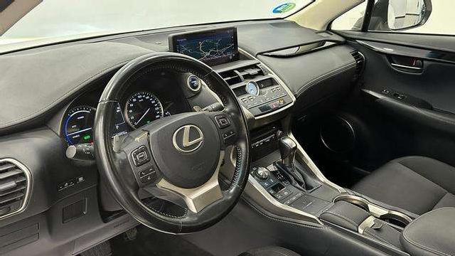 Imagen de Lexus Nx 300 300h Business Navigation 2wd (3223337) - Automotor Dursan