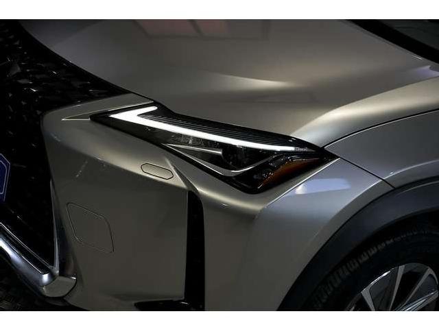 Imagen de Lexus Ux 300e Business (3223428) - Automotor Dursan