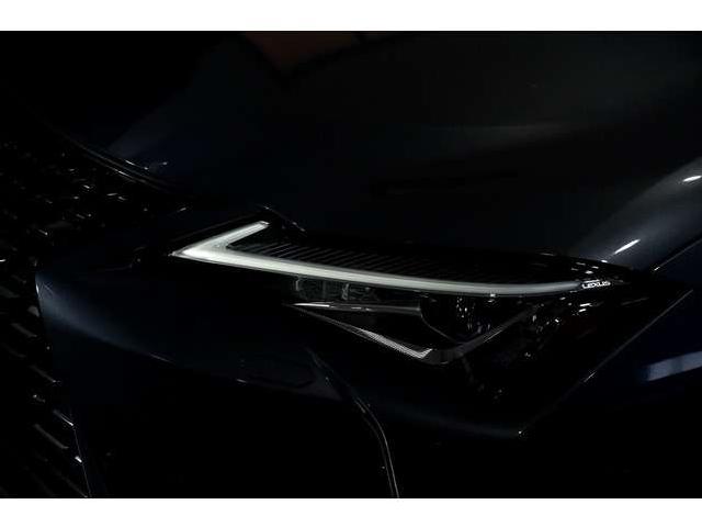 Imagen de Lexus Ux 300e Business (3233472) - Automotor Dursan