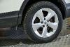Nissan Qashqai Dci 85 Kw 115 Cv E6d Acenta (3263807)