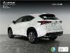 Lexus Nx 300h Executive Navigation 4wd (3268937)