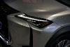 Lexus Ux 300e Business (3270306)