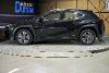 Lexus Ux 300e Business (3270644)