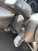 Audi Q-2 S-LINE 1.6 TDI 115 AUTO. (3278187)