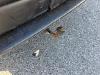 Renault MASTER 2.5 DCI L3-H2 120 CV (3279144)