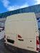 Opel MOVANO 2.3 CDTI 125 56.000 KMS (3295357)